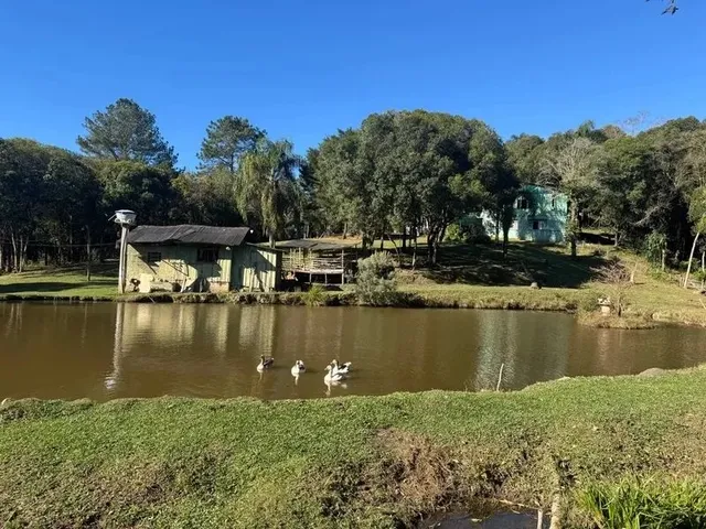 Imagem: Chácara Completa em Balsa Nova com Linda