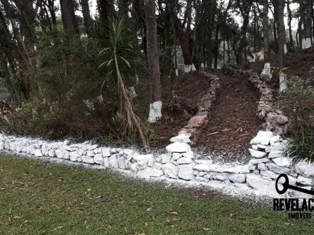 Imagem 8: Chácara com 1 Dormitório À Venda, 40000 M² por R$ 2.850.000,00 - Contenda - São