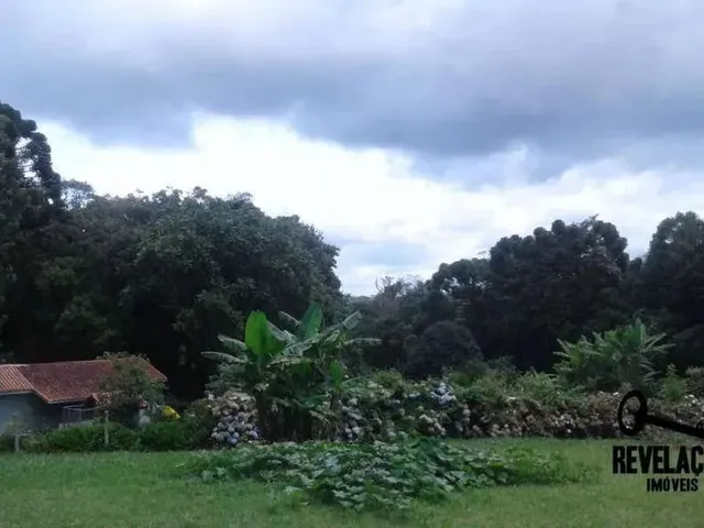 Imagem 5: Chácara com 1 Dormitório À Venda, 40000 M² por R$ 2.850.000,00 - Contenda - São
