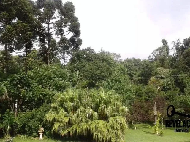 Imagem 4: Chácara com 1 Dormitório À Venda, 40000 M² por R$ 2.850.000,00 - Contenda - São