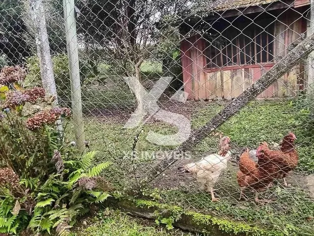 Imagem 2: Chácara À Venda, São João, Colombo Próximo Ao Centro