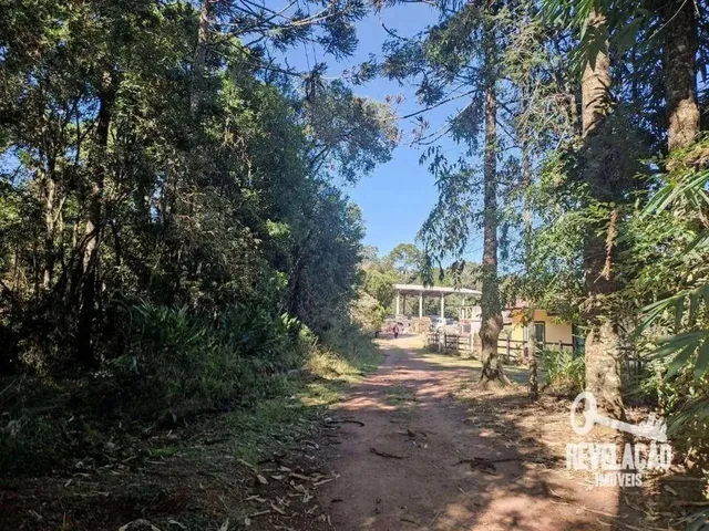 Imagem 1: Chácara com 1 Dormitório À Venda, 52000 M² por R$ 2.000.000,00 - Cachoeira - São
