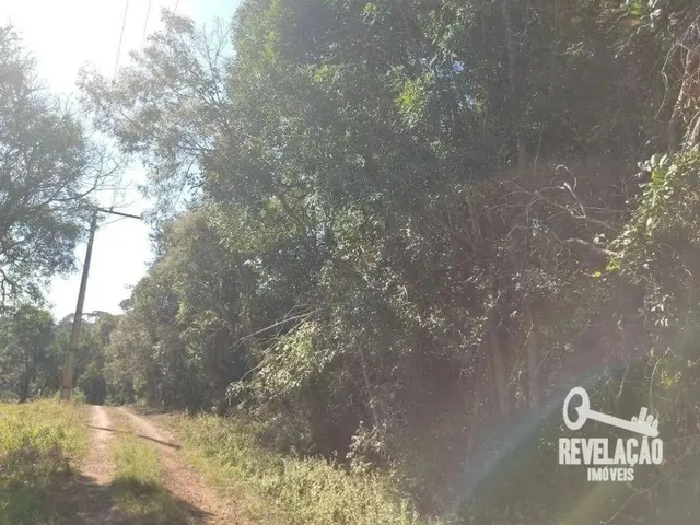 Imagem 6: Chácara com 1 Dormitório À Venda, 52000 M² por R$ 2.000.000,00 - Cachoeira - São