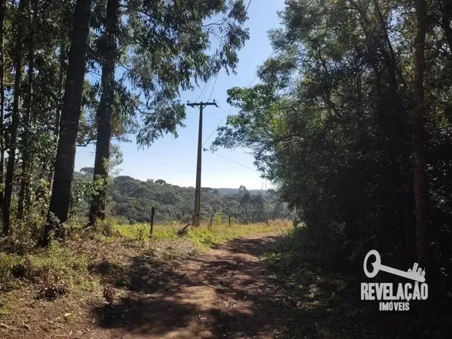 Imagem 7: Chácara com 1 Dormitório À Venda, 52000 M² por R$ 2.000.000,00 - Cachoeira - São