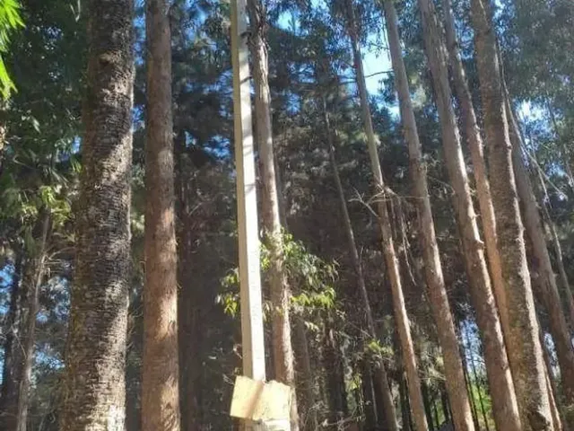Imagem 8: Chácara com 1 Dormitório À Venda, 52000 M² por R$ 2.000.000,00 - Cachoeira - São