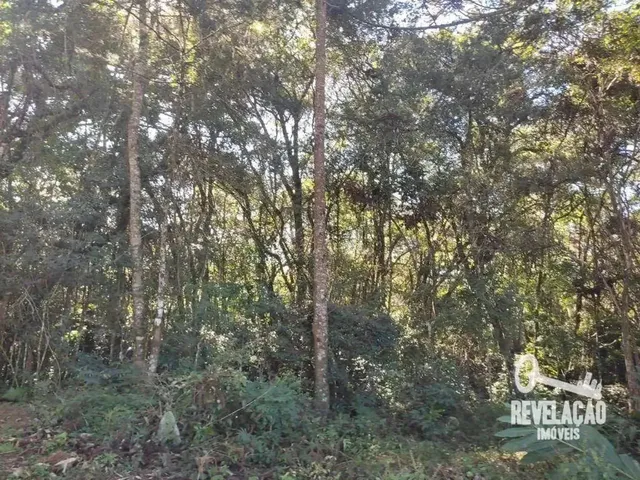 Imagem 5: Chácara com 1 Dormitório À Venda, 52000 M² por R$ 2.000.000,00 - Cachoeira - São