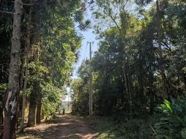 Imagem 3: Chácara com 1 Dormitório À Venda, 52000 M² por R$ 2.000.000,00 - Cachoeira - São
