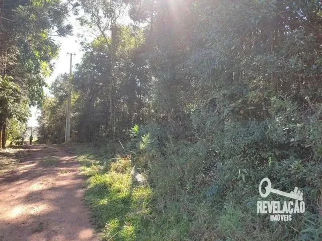 Imagem 10: Chácara com 1 Dormitório À Venda, 52000 M² por R$ 2.000.000,00 - Cachoeira - São