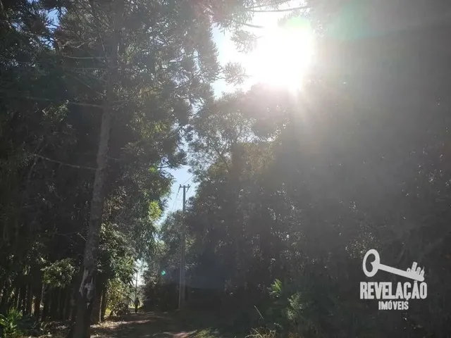 Imagem 13: Chácara com 1 Dormitório À Venda, 52000 M² por R$ 2.000.000,00 - Cachoeira - São