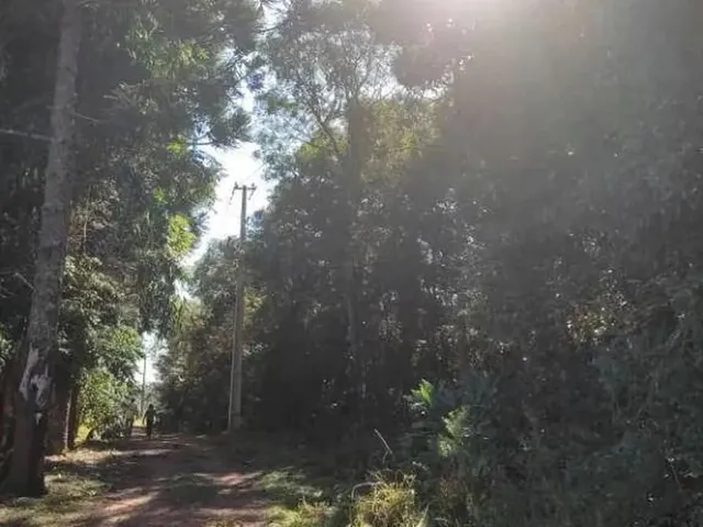 Imagem 4: Chácara com 1 Dormitório À Venda, 52000 M² por R$ 2.000.000,00 - Cachoeira - São
