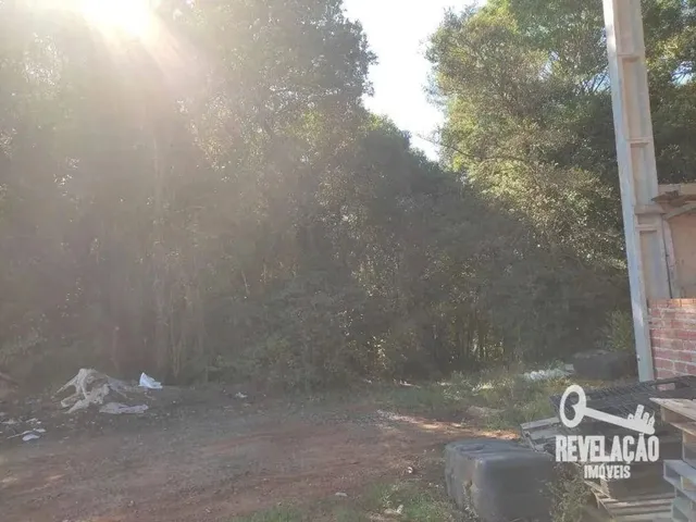 Imagem 9: Chácara com 1 Dormitório À Venda, 52000 M² por R$ 2.000.000,00 - Cachoeira - São