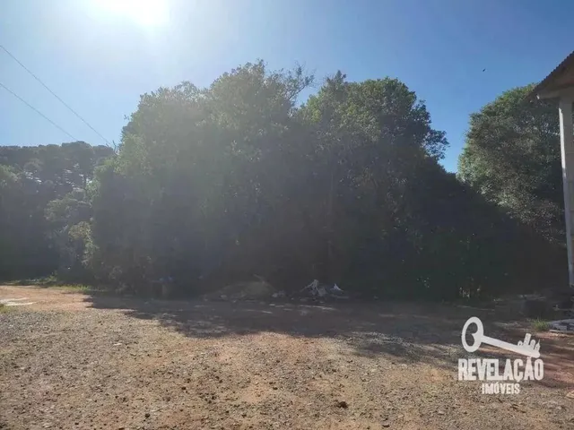 Imagem 16: Chácara com 1 Dormitório À Venda, 52000 M² por R$ 2.000.000,00 - Cachoeira - São