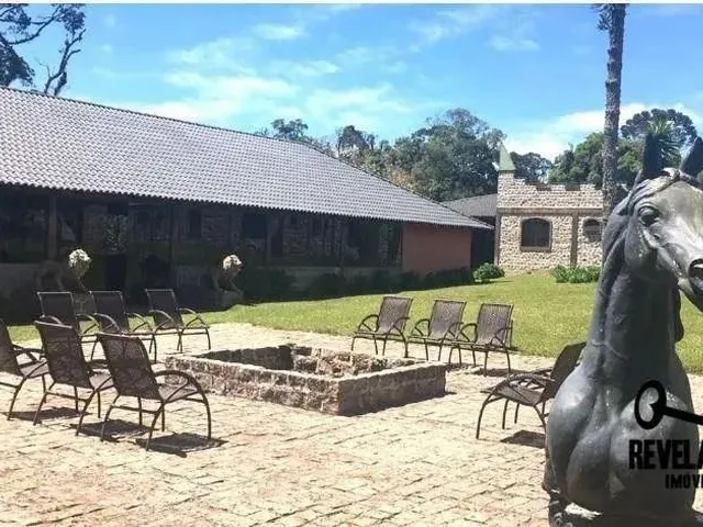 Imagem: Fazenda de Frente a Br 376 À Venda, 2040060