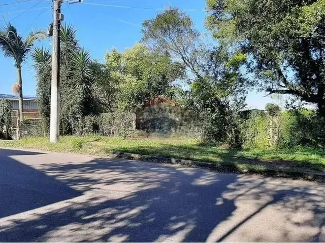 Imagem: Mini Sítio À Venda em Alvorada/Rs