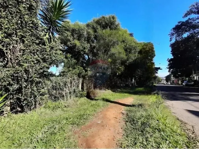 Imagem 13: Mini Sítio À Venda em Alvorada/Rs