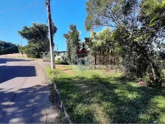 Imagem 9: Mini Sítio À Venda em Alvorada/Rs