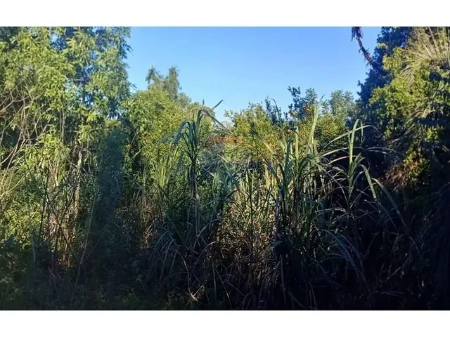 Imagem 6: Mini Sítio À Venda em Alvorada/Rs