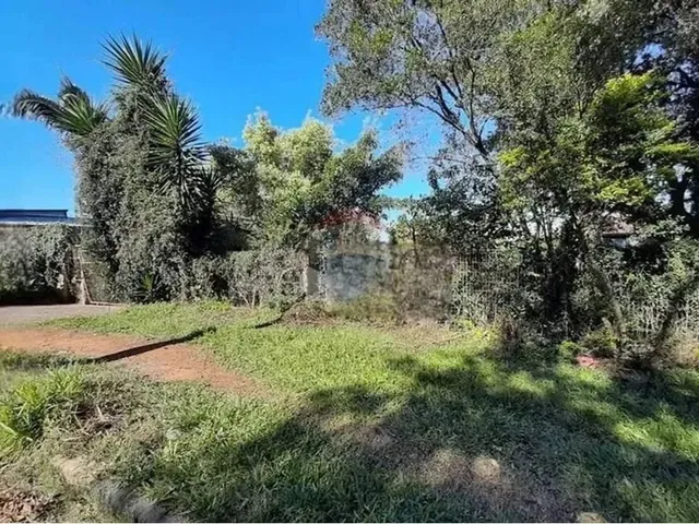 Imagem 14: Mini Sítio À Venda em Alvorada/Rs