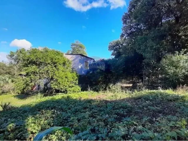 Imagem 10: Mini Sítio À Venda em Alvorada/Rs