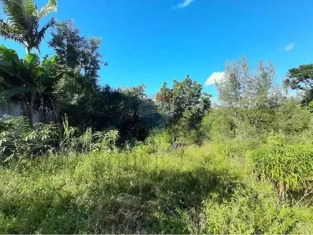 Imagem 12: Mini Sítio À Venda em Alvorada/Rs