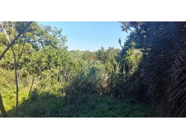 Imagem 15: Mini Sítio À Venda em Alvorada/Rs