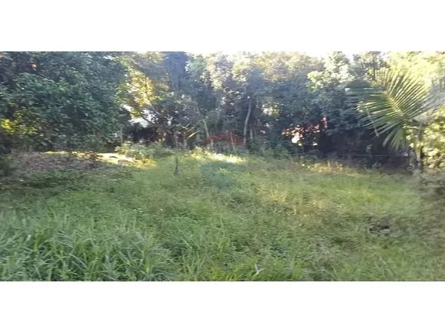 Imagem 7: Mini Sítio À Venda em Alvorada/Rs