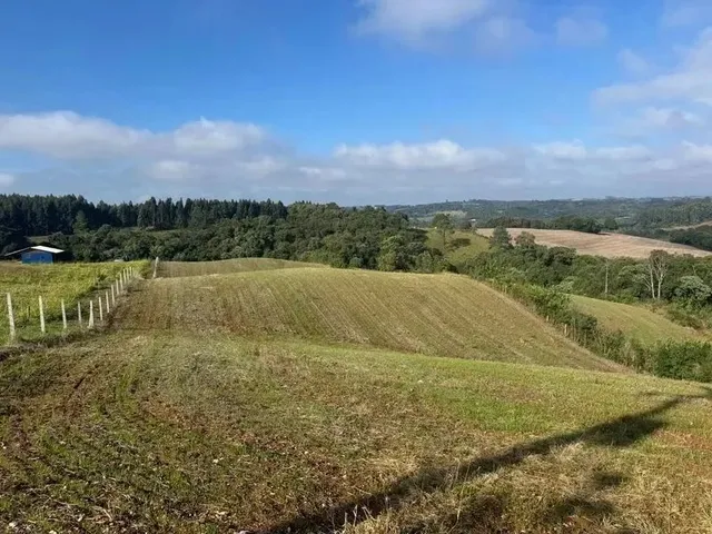 Imagem 3: Lindo Terreno para Formação de Chácara Próximo Ao Centro