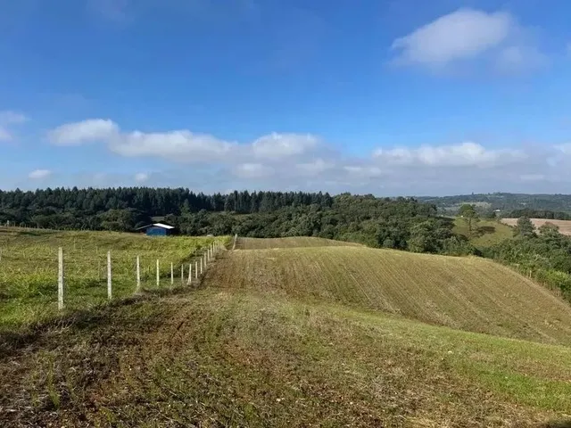 Imagem 10: Lindo Terreno para Formação de Chácara Próximo Ao Centro