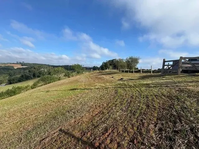 Imagem 2: Lindo Terreno para Formação de Chácara Próximo Ao Centro