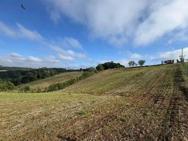 Imagem 8: Lindo Terreno para Formação de Chácara Próximo Ao Centro