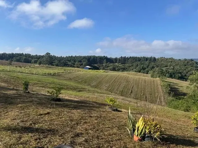 Imagem 14: Lindo Terreno para Formação de Chácara Próximo Ao Centro