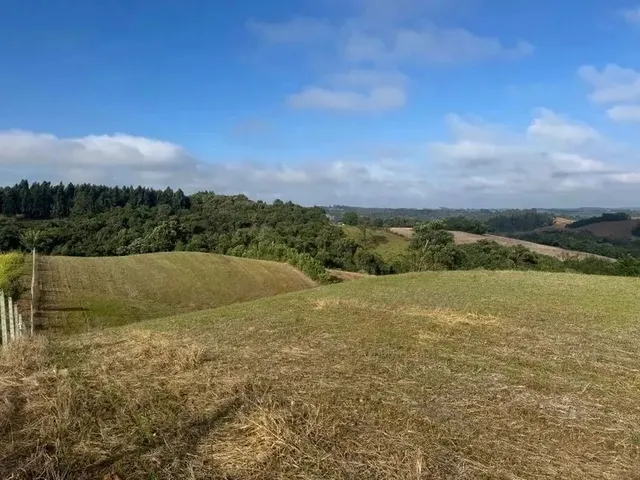 Imagem 9: Lindo Terreno para Formação de Chácara Próximo Ao Centro