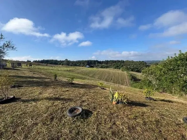 Imagem 13: Lindo Terreno para Formação de Chácara Próximo Ao Centro