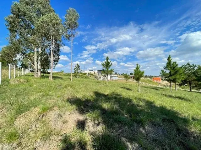 Imagem 10: Terreno Condomínio Quatro Barras - Pr