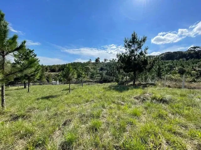 Imagem 6: Terreno Condomínio Quatro Barras - Pr