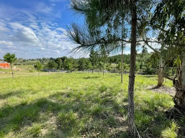 Imagem 12: Terreno Condomínio Quatro Barras - Pr