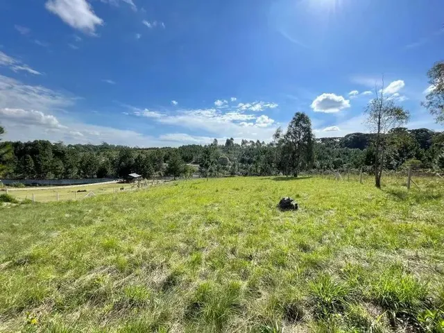 Imagem 2: Terreno Condomínio Quatro Barras - Pr