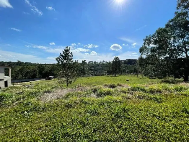 Imagem 8: Terreno Condomínio Quatro Barras - Pr