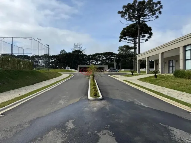 Imagem 12: Rua Nova Tirol, 1210, Vilafuck, Piraquara -Pr