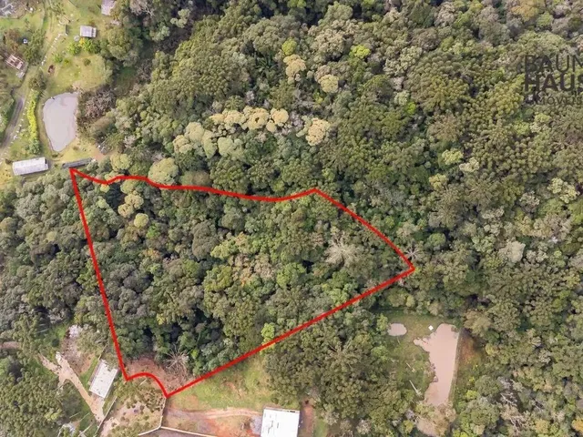 Imagem: Terreno À Venda, 5000 M² - Palmitalzinho