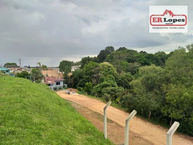 Imagem 6: Área À Venda, 35733 M² por R$ 790.000,00 - Centro - Quitandinha/Pr
