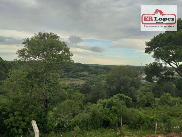 Imagem 13: Área À Venda, 35733 M² por R$ 790.000,00 - Centro - Quitandinha/Pr