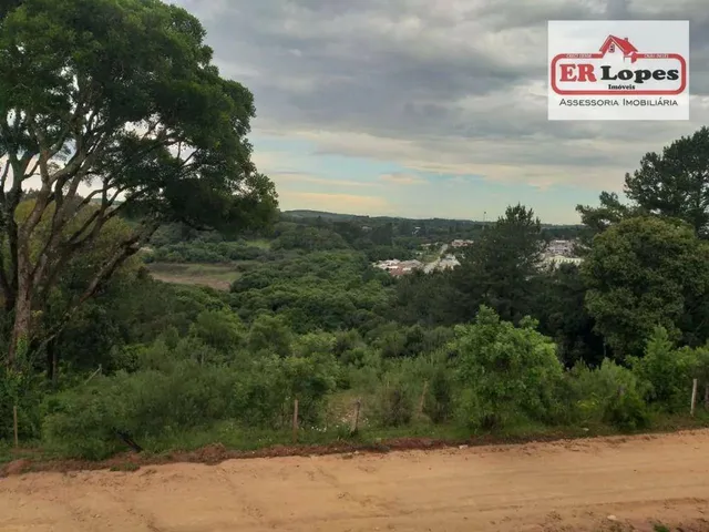 Imagem 11: Área À Venda, 35733 M² por R$ 790.000,00 - Centro - Quitandinha/Pr