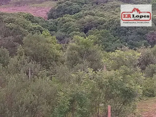 Imagem 12: Área À Venda, 35733 M² por R$ 790.000,00 - Centro - Quitandinha/Pr