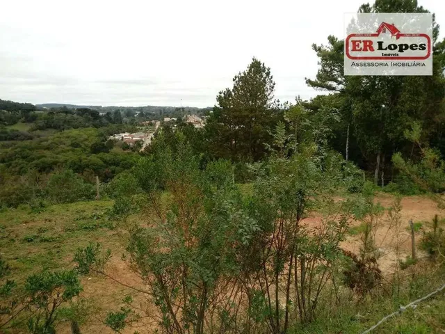 Imagem 5: Área À Venda, 35733 M² por R$ 790.000,00 - Centro - Quitandinha/Pr