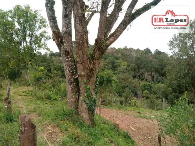 Imagem 10: Área À Venda, 35733 M² por R$ 790.000,00 - Centro - Quitandinha/Pr