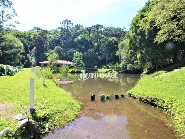 Imagem 4: Chácara com 4 Dormitórios À Venda, 84283 M² por R$ 2.000.000,00 - Quatro Barras