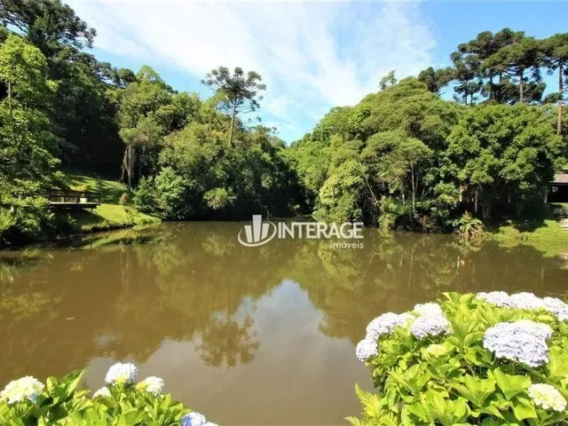 Imagem 9: Chácara com 4 Dormitórios À Venda, 84283 M² por R$ 2.000.000,00 - Quatro Barras