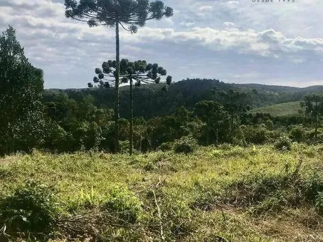 Imagem: Chácara À Venda, 20000 M² por R$ 200.000,00