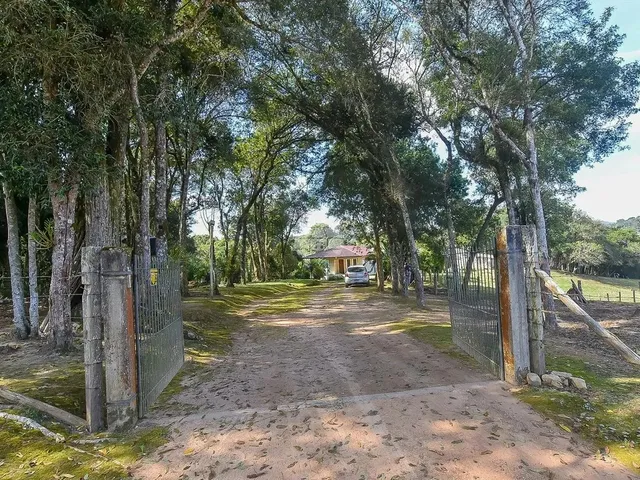 Imagem 7: Vendas Chácara Mandirituba Pr